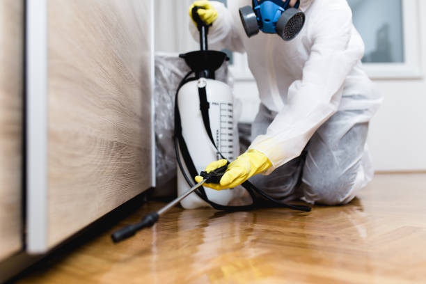 Best Pest Inspection Near Me  in Britton, SD