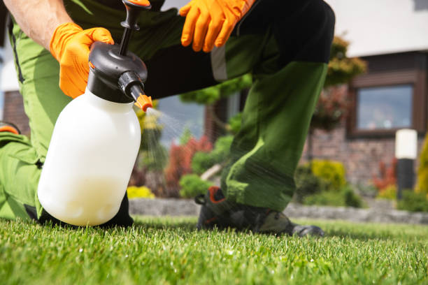 Best Exterminator Services  in Britton, SD