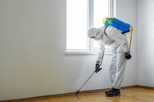 Best Residential Pest Control  in Britton, SD