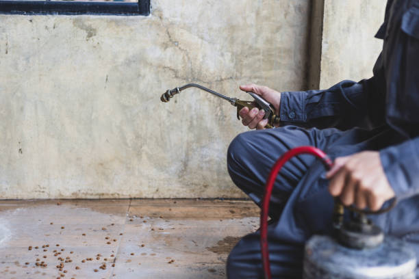 Best Local Pest Control Services  in Britton, SD