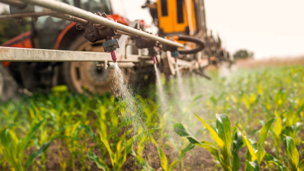 Best Residential Pest Control  in Britton, SD
